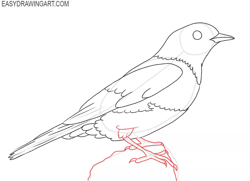 How to Draw a Blue Bird for beginners
