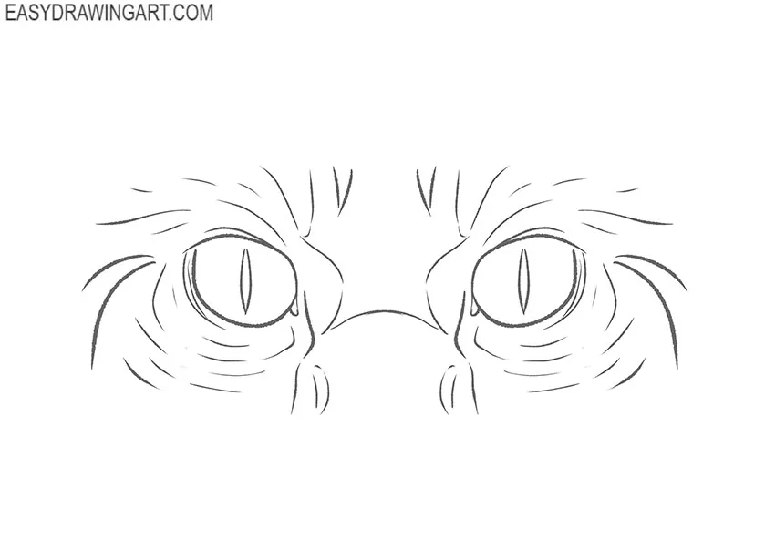 cat eyes drawing easy and simple