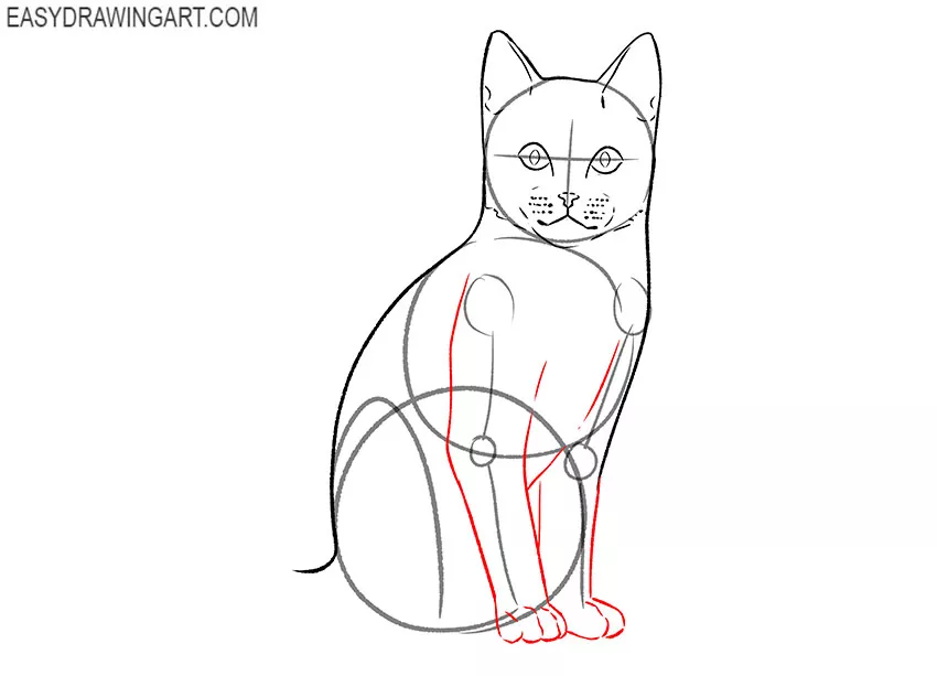 how to draw a cartoon sitting cat
