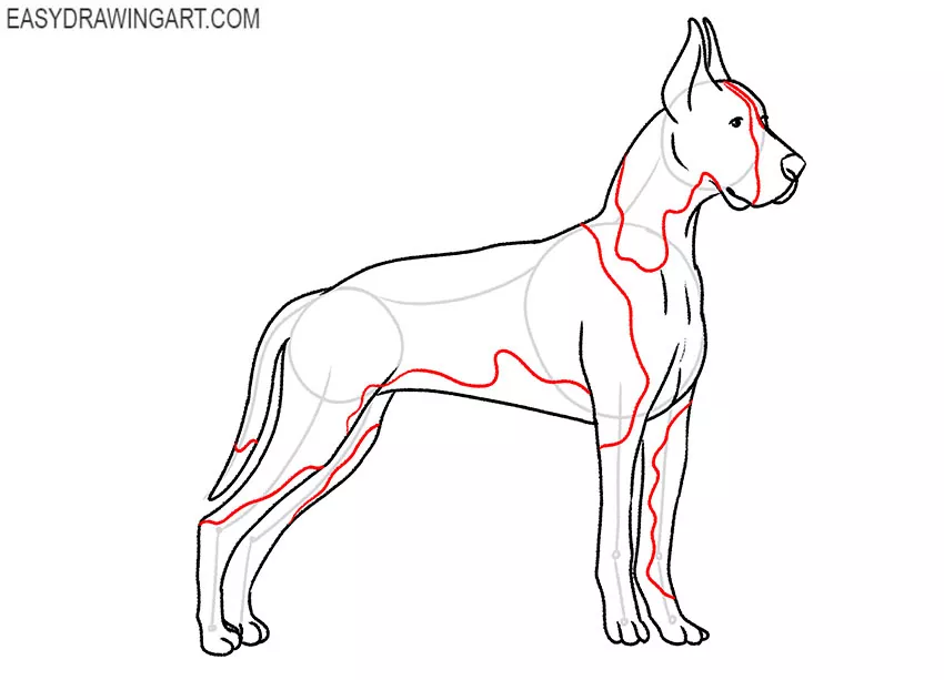 how to draw a cute great dane
