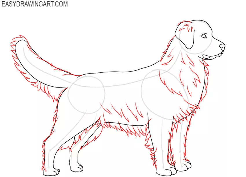 how to draw a golden retriever puppy art hub