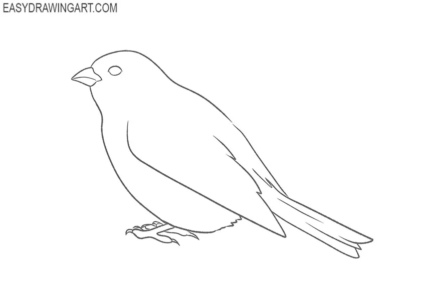 how to draw a simple sparrow