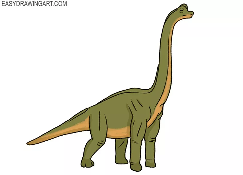  Brachiosaurus drawing lesson