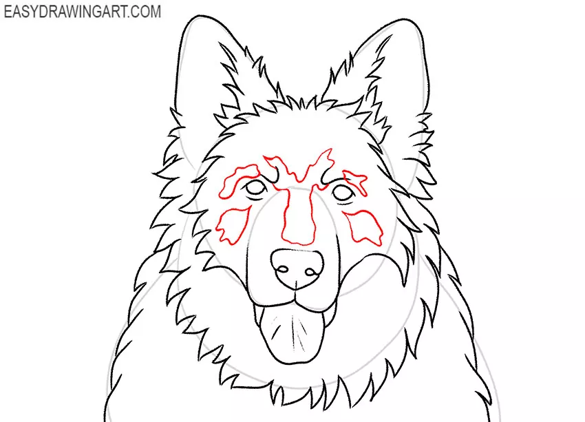 German Shepherd Head drawing lesson