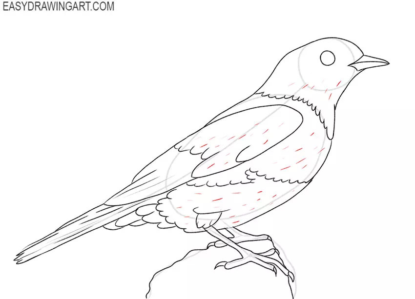 How to Draw a Blue Bird simple