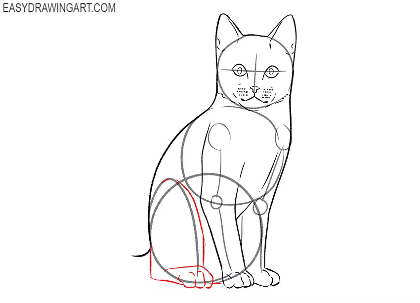 sitting cat drawing lesson
