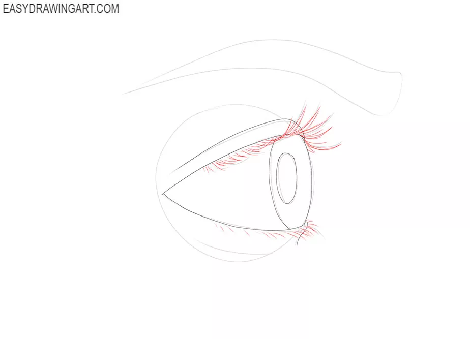 Eye from the Side drawing guide