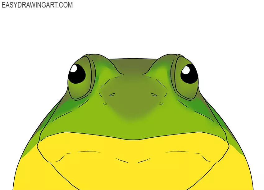 frog face drawing guide