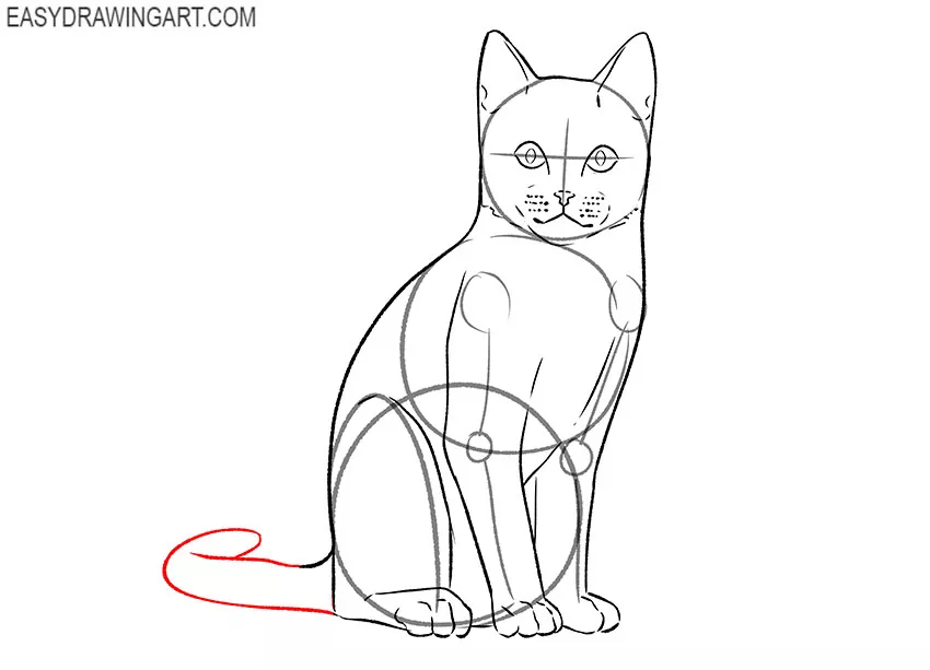sitting cat drawing guide