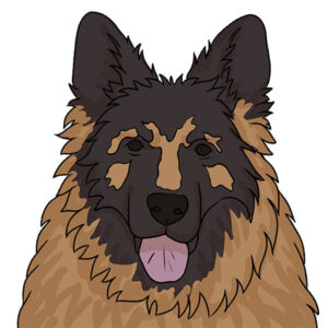 How to Draw a German Shepherd Head