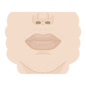 How to Draw a Nose and Mouth step by step