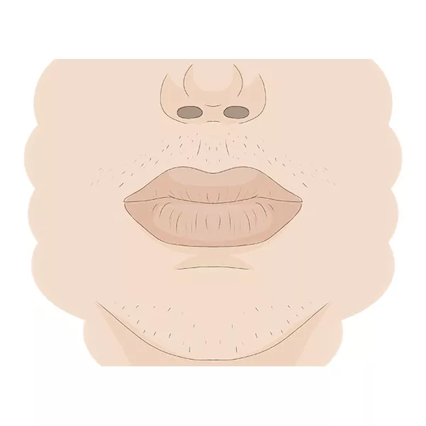 How to Draw a Nose and Mouth