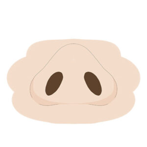 How to Draw a Nose from Below