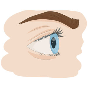 How to Draw an Eye from the Side
