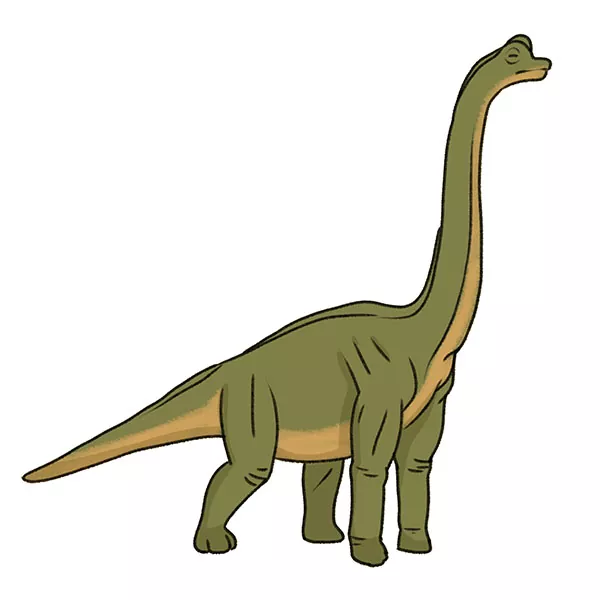 How to Draw a Brachiosaurus