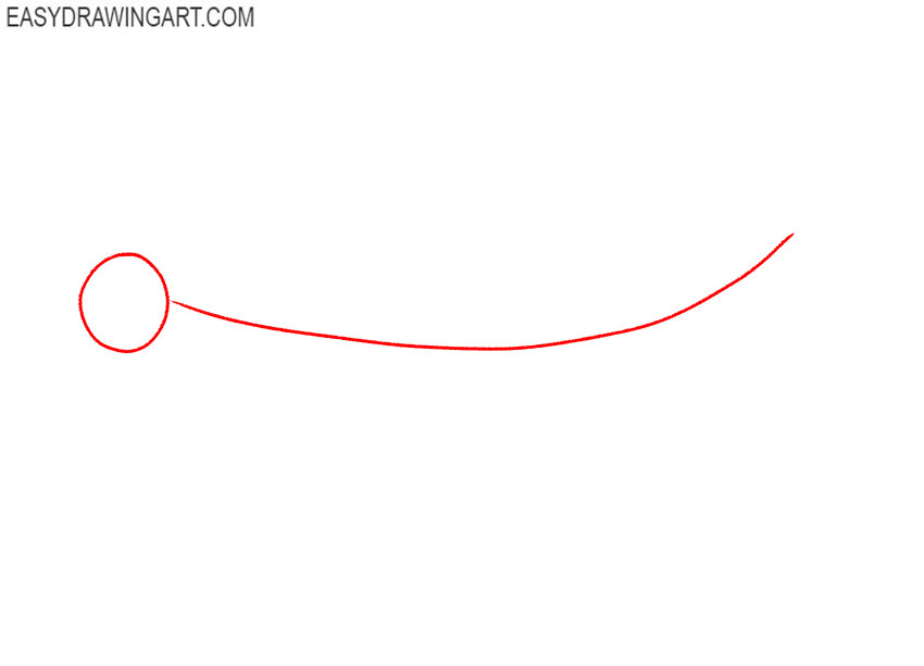 how to draw a beluga whale easy