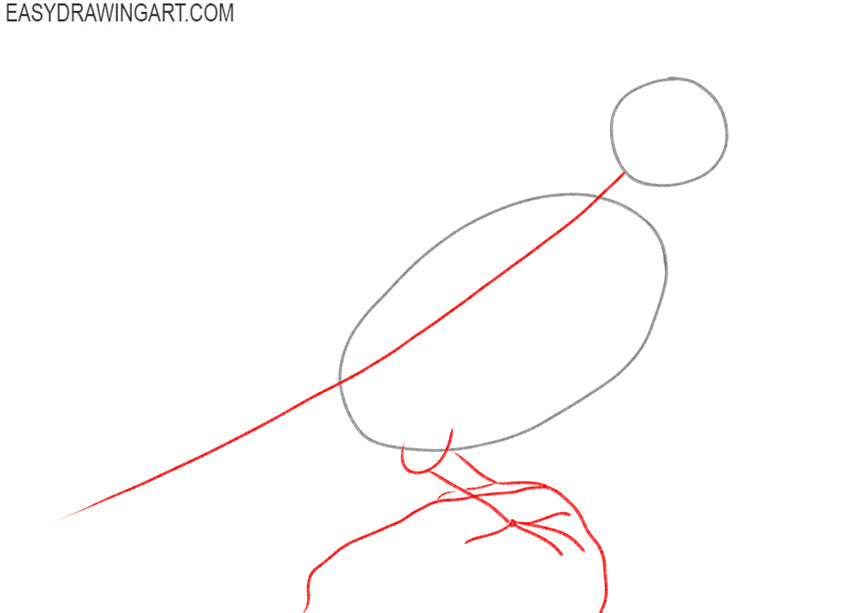 how to draw a bluebird art hub