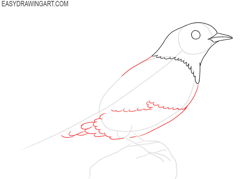 how to draw a blue bird flying