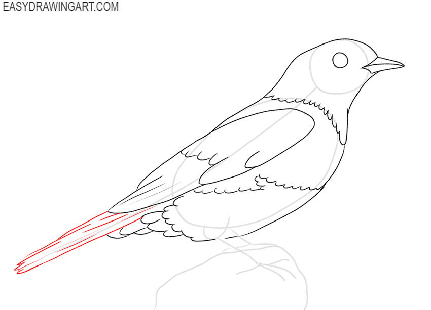 how to draw a cute blue bird