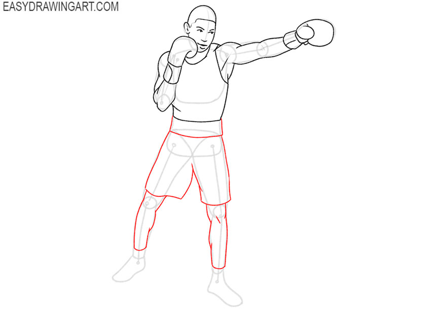 Boxer drawing tutorial