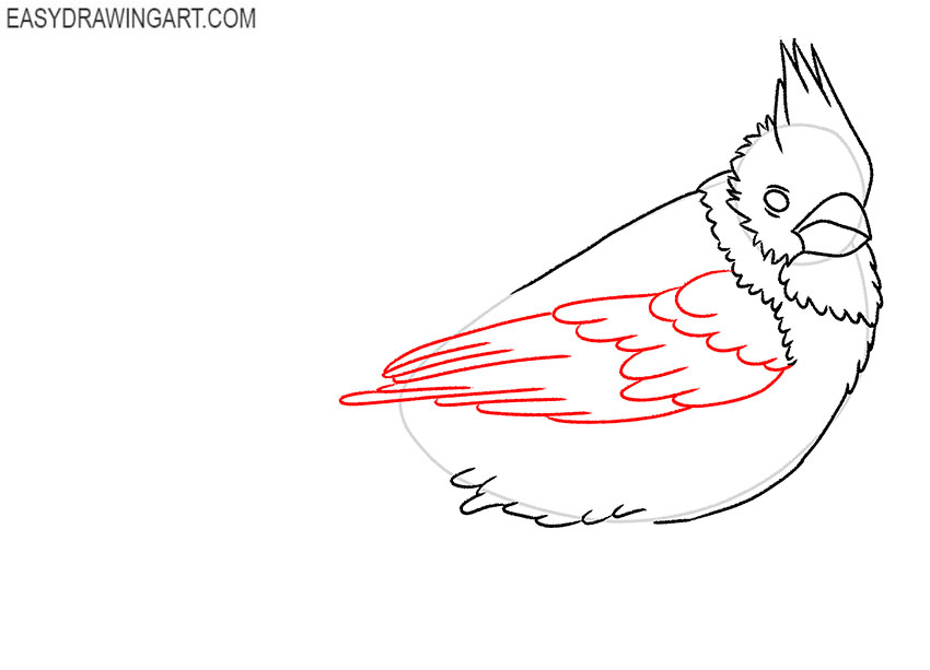 how to draw a red bird step by step