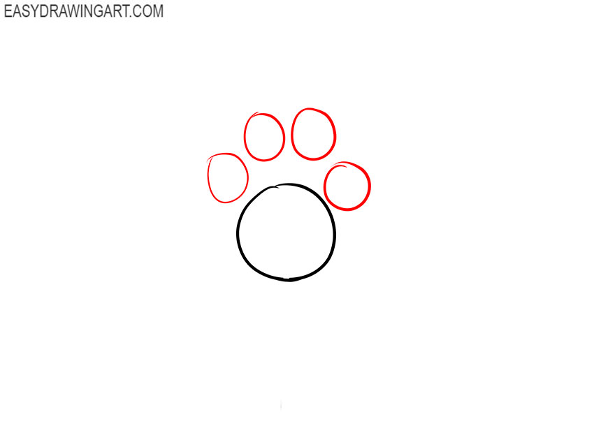how to draw a cat body