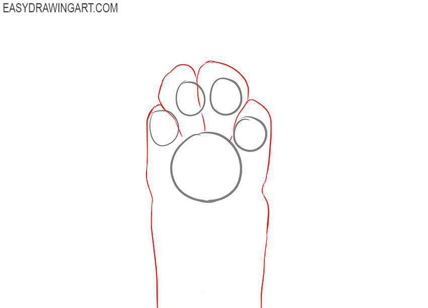 cat body drawing lesson