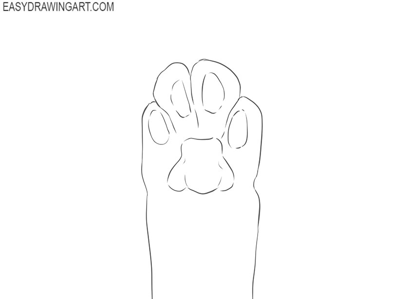 cat body drawing guide