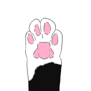 how to draw a cat paw step by step