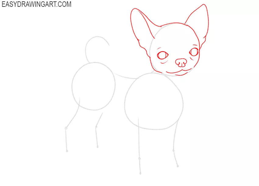how to draw a chihuahua puppy