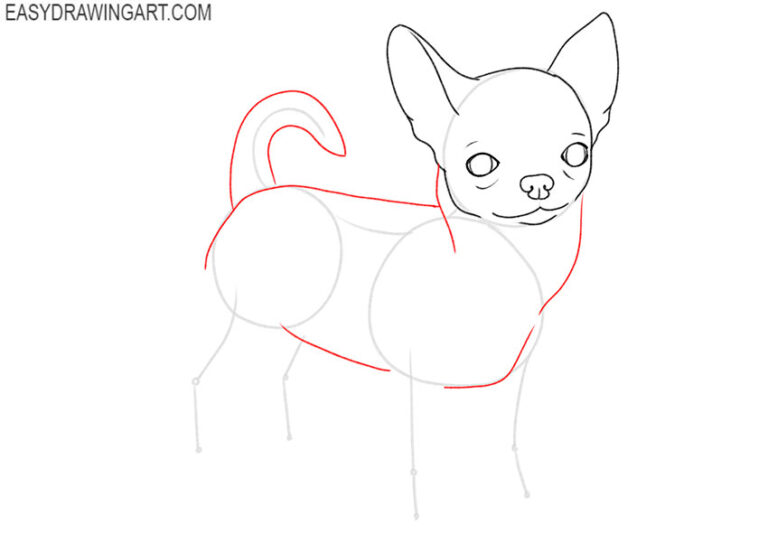 How to Draw a Chihuahua Easy Drawing Art