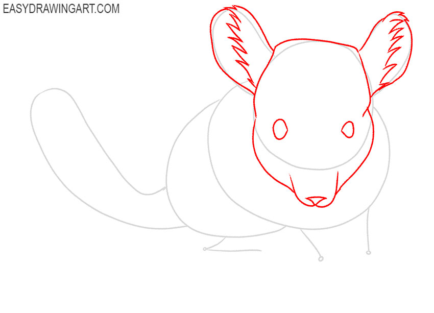 how to draw a chinchilla cute