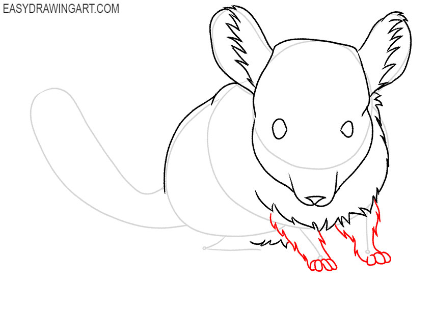 how to draw a cartoon chinchilla