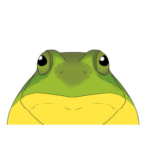 how to draw a frog face