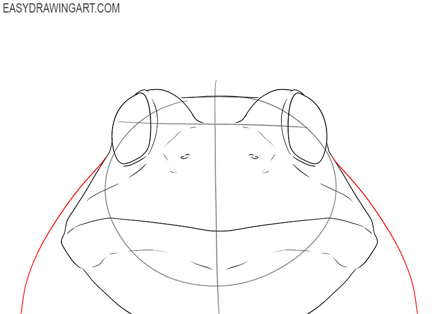 how to draw a frog realistic