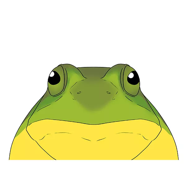 How to Draw a Frog Face