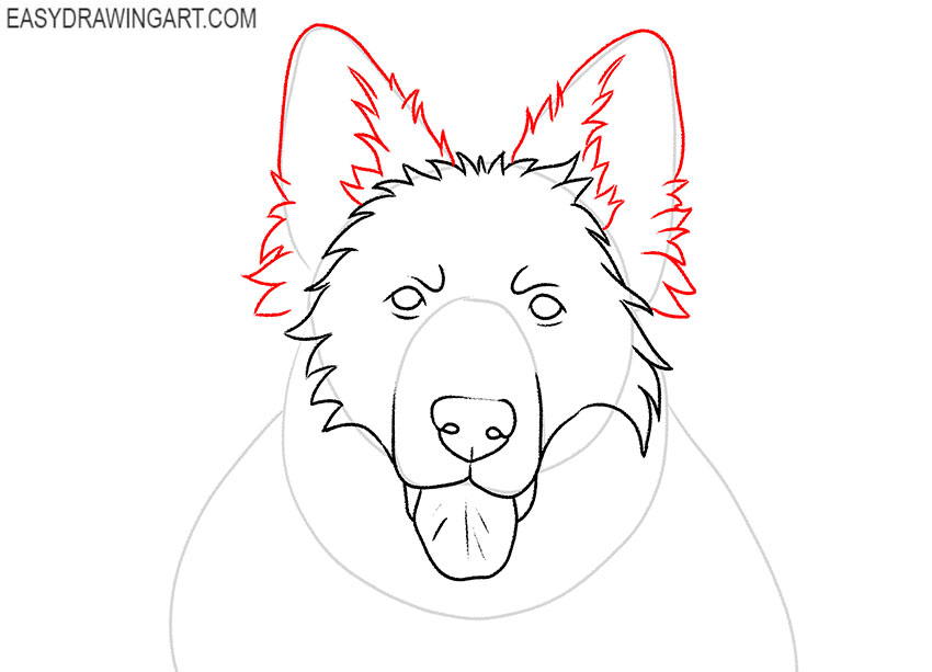 how to draw a german shepherd realistic