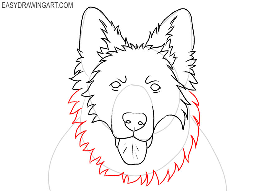 how to draw a german shepherd dog face