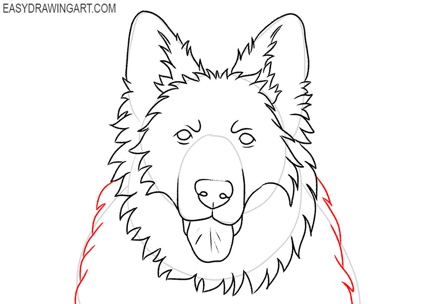 how to draw a german shepherd for beginners