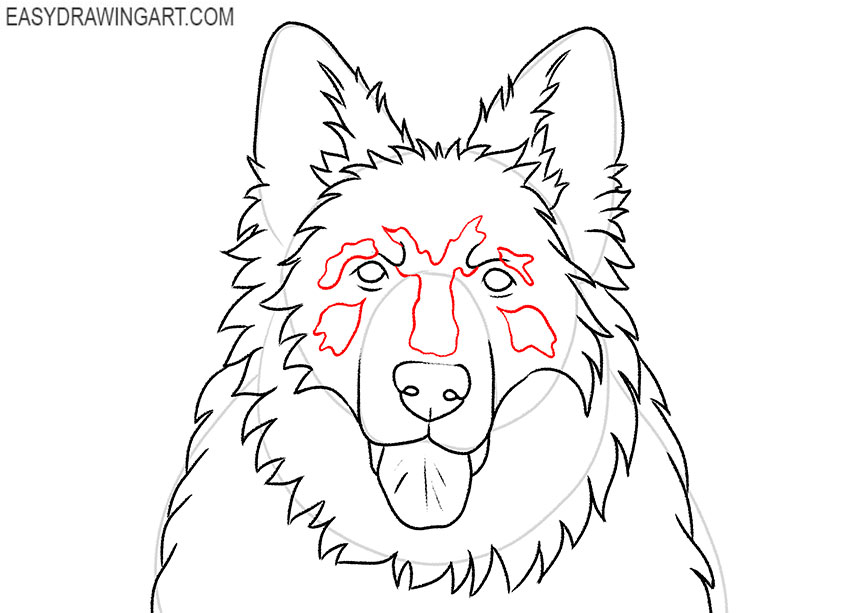 German Shepherd Head drawing lesson