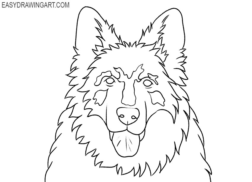 German Shepherd Head drawing guide