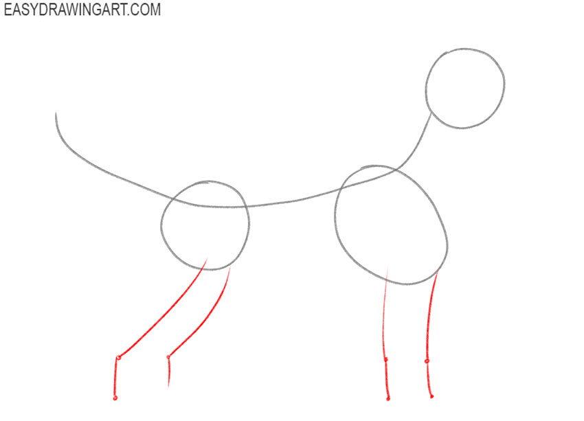 how to draw a golden retriever realistic
