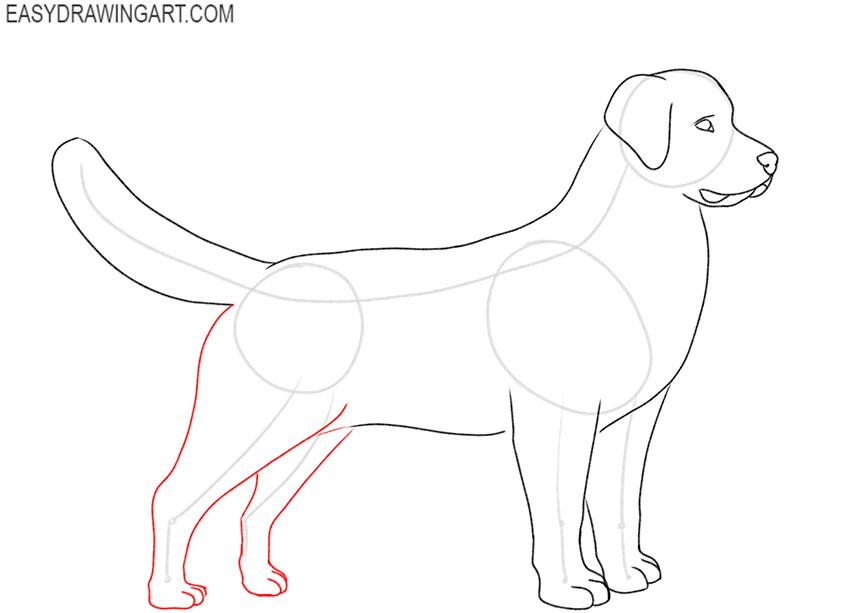 art hub how to draw a golden retriever