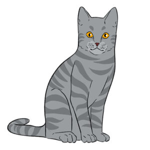 how to draw a sitting cat