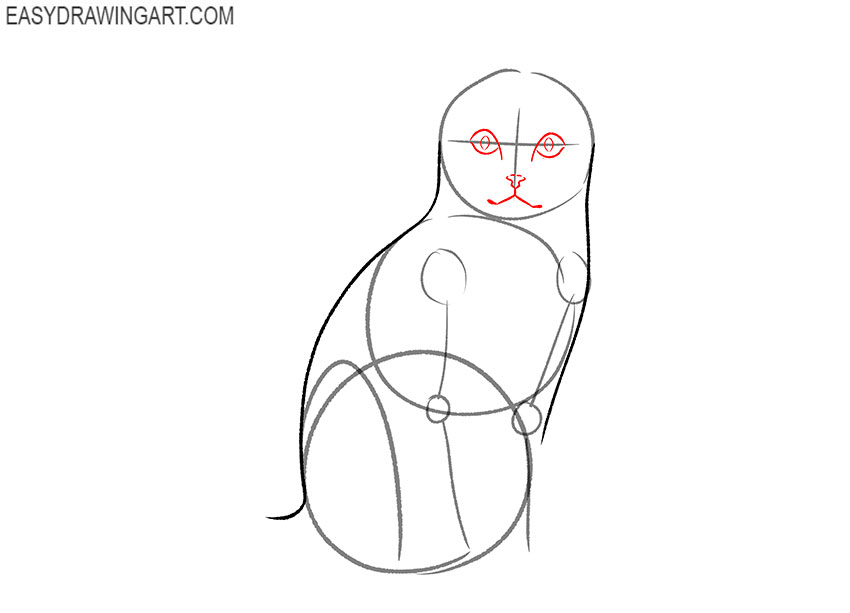 how to draw a simple sitting cat