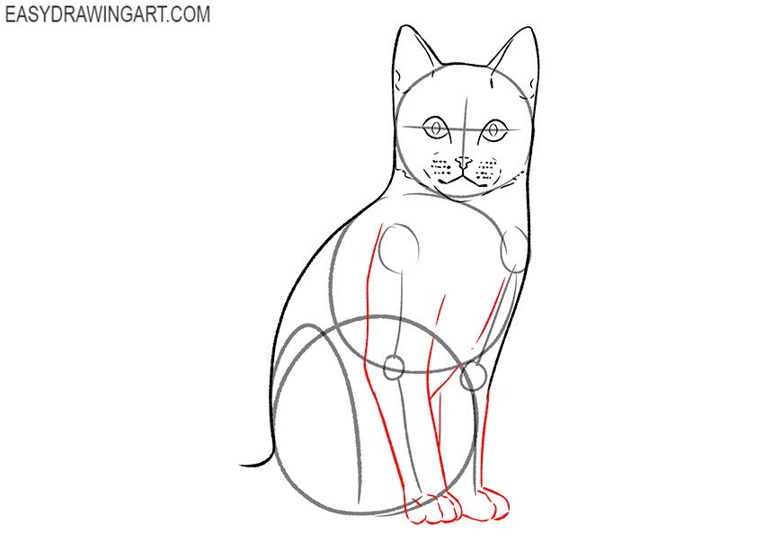 how to draw a cartoon sitting cat