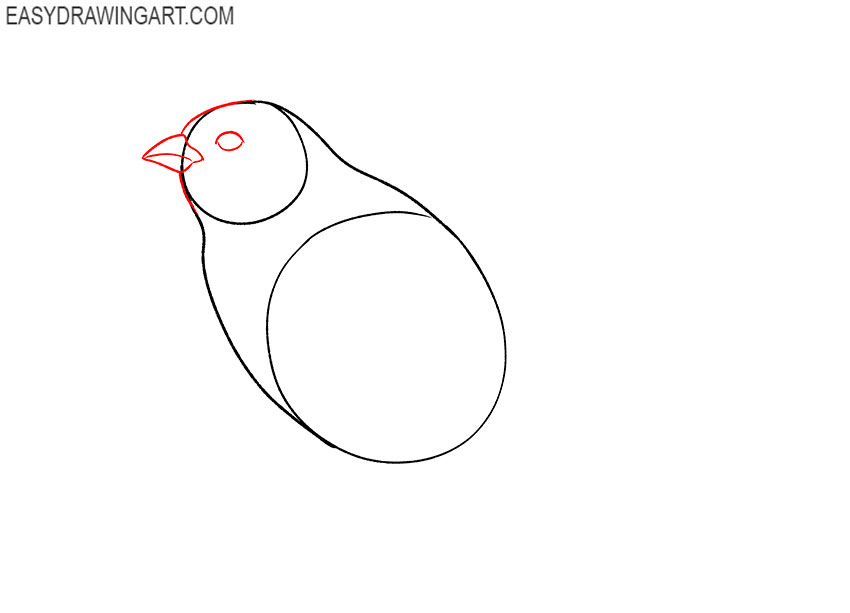 how to draw a sparrow step by step easy