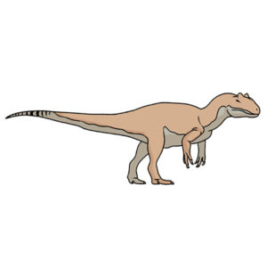 how to draw an allosaurus