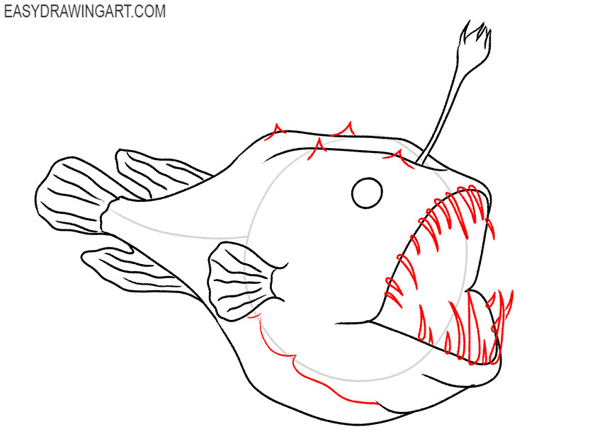 how to draw a cute angler fish