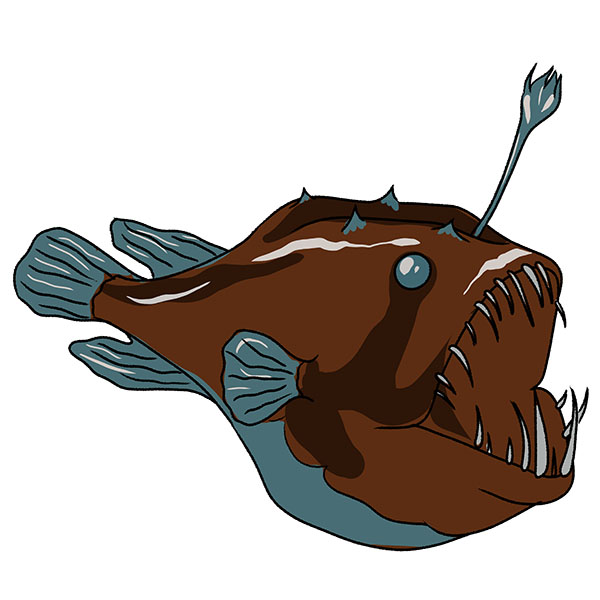 how to draw an anglerfish